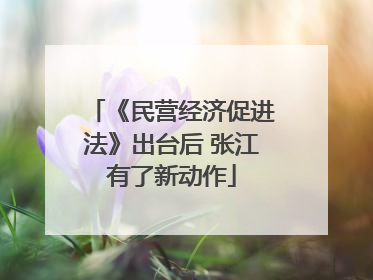 《民营经济促进法》出台后 张江有了新动作