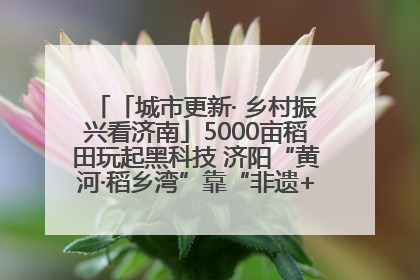「城市更新· 乡村振兴看济南」5000亩稻田玩起黑科技 济阳“黄河·稻乡湾”靠“非遗+露营”火出圈