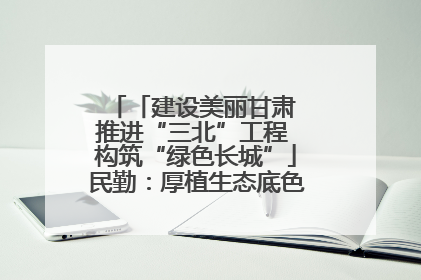 「建设美丽甘肃 推进“三北”工程 构筑“绿色长城”」民勤：厚植生态底色 筑牢绿色屏障