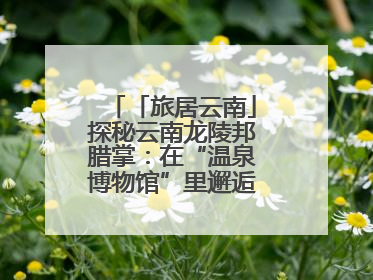 「旅居云南」探秘云南龙陵邦腊掌：在“温泉博物馆”里邂逅诗意康养生活