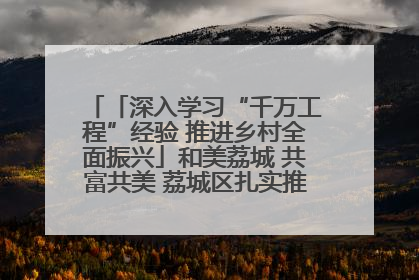 「深入学习“千万工程”经验 推进乡村全面振兴」和美荔城 共富共美 荔城区扎实推进乡村振兴工作