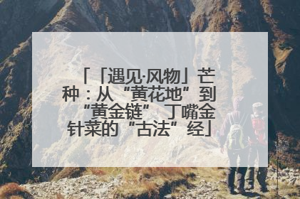 「遇见·风物」芒种：从“黄花地”到“黄金链” 丁嘴金针菜的“古法”经