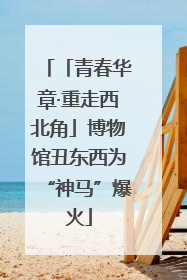 「青春华章·重走西北角」博物馆丑东西为“神马”爆火