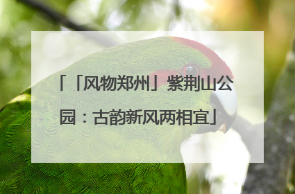 「风物郑州」紫荆山公园：古韵新风两相宜