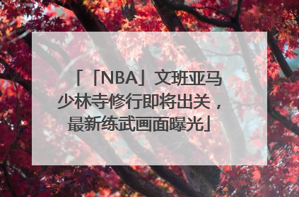 「NBA」文班亚马少林寺修行即将出关，最新练武画面曝光