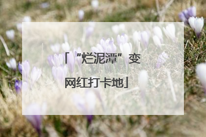 “烂泥潭”变网红打卡地