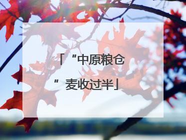 “中原粮仓”麦收过半