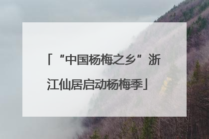 “中国杨梅之乡”浙江仙居启动杨梅季