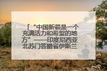 “中国新疆是一个充满活力和希望的地方”——印度尼西亚北苏门答腊省伊斯兰教代表团参访新疆