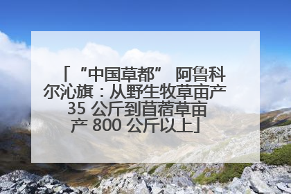 “中国草都” 阿鲁科尔沁旗：从野生牧草亩产 35 公斤到苜蓿草亩产 800 公斤以上