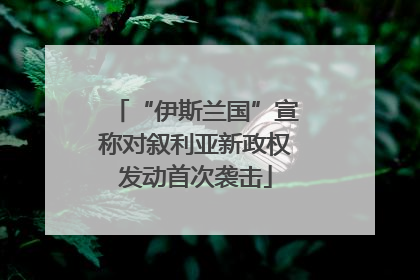 “伊斯兰国”宣称对叙利亚新政权发动首次袭击