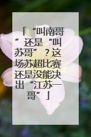 “叫南哥”还是“叫苏哥”？这场苏超比赛还是没能决出“江苏一哥”