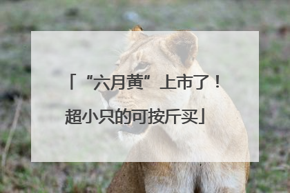 “六月黄”上市了！超小只的可按斤买