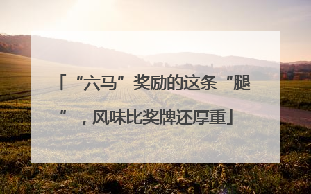 “六马”奖励的这条“腿”，风味比奖牌还厚重