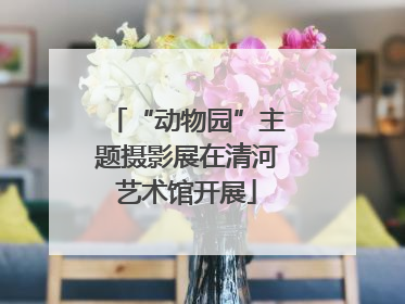 “动物园”主题摄影展在清河艺术馆开展