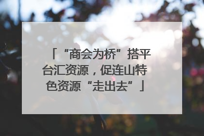 “商会为桥”搭平台汇资源，促连山特色资源“走出去”