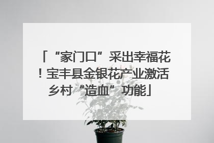 “家门口”采出幸福花！宝丰县金银花产业激活乡村“造血”功能