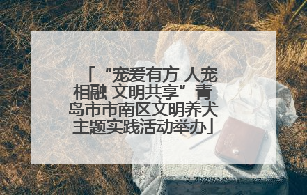 “宠爱有方 人宠相融 文明共享”青岛市市南区文明养犬主题实践活动举办