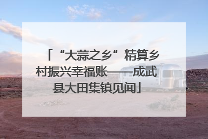 “大蒜之乡”精算乡村振兴幸福账——成武县大田集镇见闻