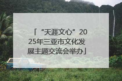 “天涯文心”2025年三亚市文化发展主题交流会举办
