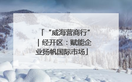 “威海营商行”｜经开区：赋能企业扬帆国际市场