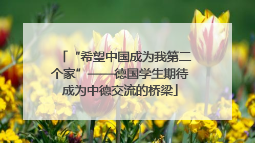 “希望中国成为我第二个家”——德国学生期待成为中德交流的桥梁
