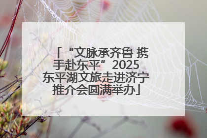 “文脉承齐鲁 携手赴东平”2025东平湖文旅走进济宁推介会圆满举办