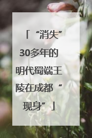 “消失”30多年的明代蜀端王陵在成都“现身”