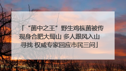 “菌中之王”野生鸡枞菌被传现身合肥大蜀山 多人跟风入山寻找 权威专家回应市民三问