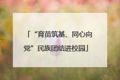 “育苗筑基、同心向党”民族团结进校园