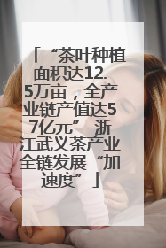 “茶叶种植面积达12.5万亩，全产业链产值达57亿元” 浙江武义茶产业全链发展“加速度”