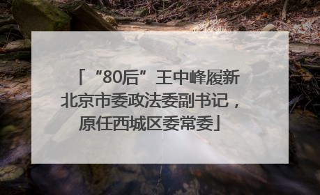 “80后”王中峰履新北京市委政法委副书记，原任西城区委常委