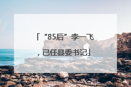 “85后”李一飞，已任县委书记