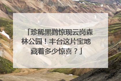 珍稀黑鹳惊现云岗森林公园！丰台这片宝地藏着多少惊喜？