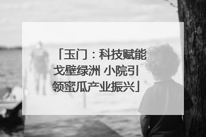 玉门：科技赋能戈壁绿洲 小院引领蜜瓜产业振兴