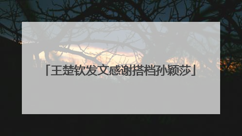 王楚钦发文感谢搭档孙颖莎