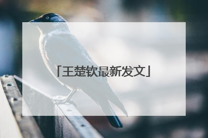王楚钦最新发文