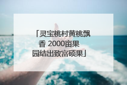 灵宝桃村黄桃飘香 2000亩果园结出致富硕果
