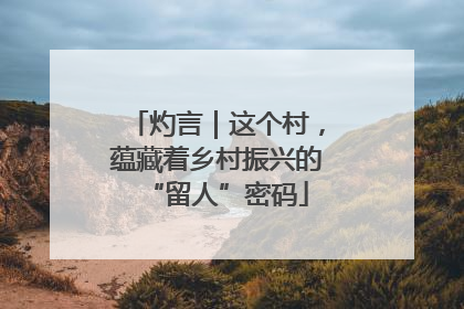 灼言｜这个村，蕴藏着乡村振兴的“留人”密码
