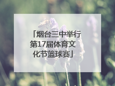 烟台三中举行第17届体育文化节篮球赛