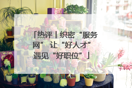 热评丨织密“服务网” 让“好人才”遇见“好职位”