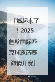 燃起来了！2025鹤壁国际匹克球邀请赛激情开赛