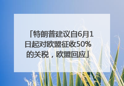特朗普建议自6月1日起对欧盟征收50%的关税，欧盟回应