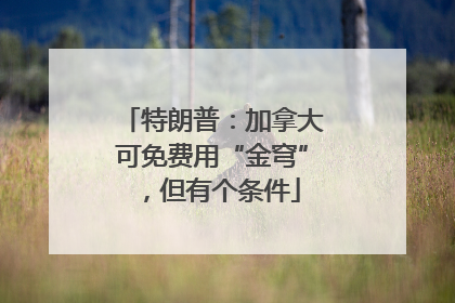 特朗普：加拿大可免费用“金穹”，但有个条件
