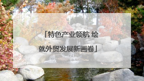 特色产业领航 绘就外贸发展新画卷