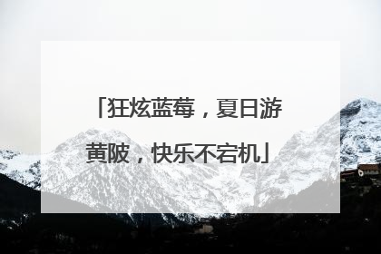 狂炫蓝莓，夏日游黄陂，快乐不宕机