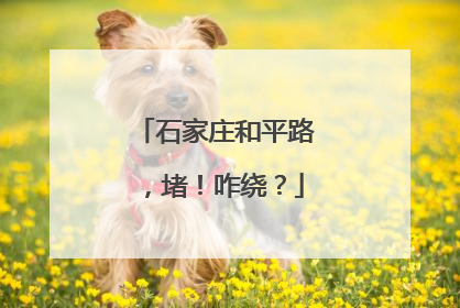 石家庄和平路，堵！咋绕？