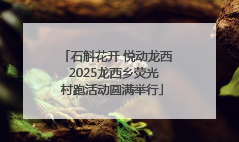 石斛花开 悦动龙西 2025龙西乡荧光村跑活动圆满举行