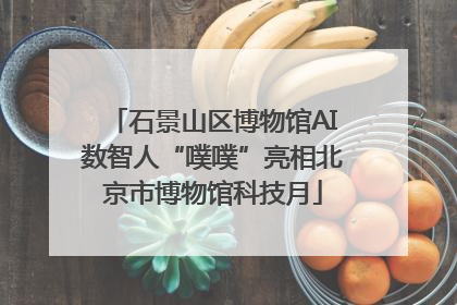 石景山区博物馆AI数智人“噗噗”亮相北京市博物馆科技月
