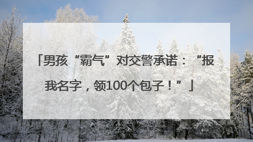 男孩“霸气”对交警承诺：“报我名字，领100个包子！”